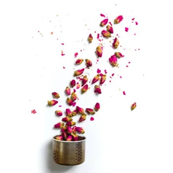 Fresh Dry Rose
